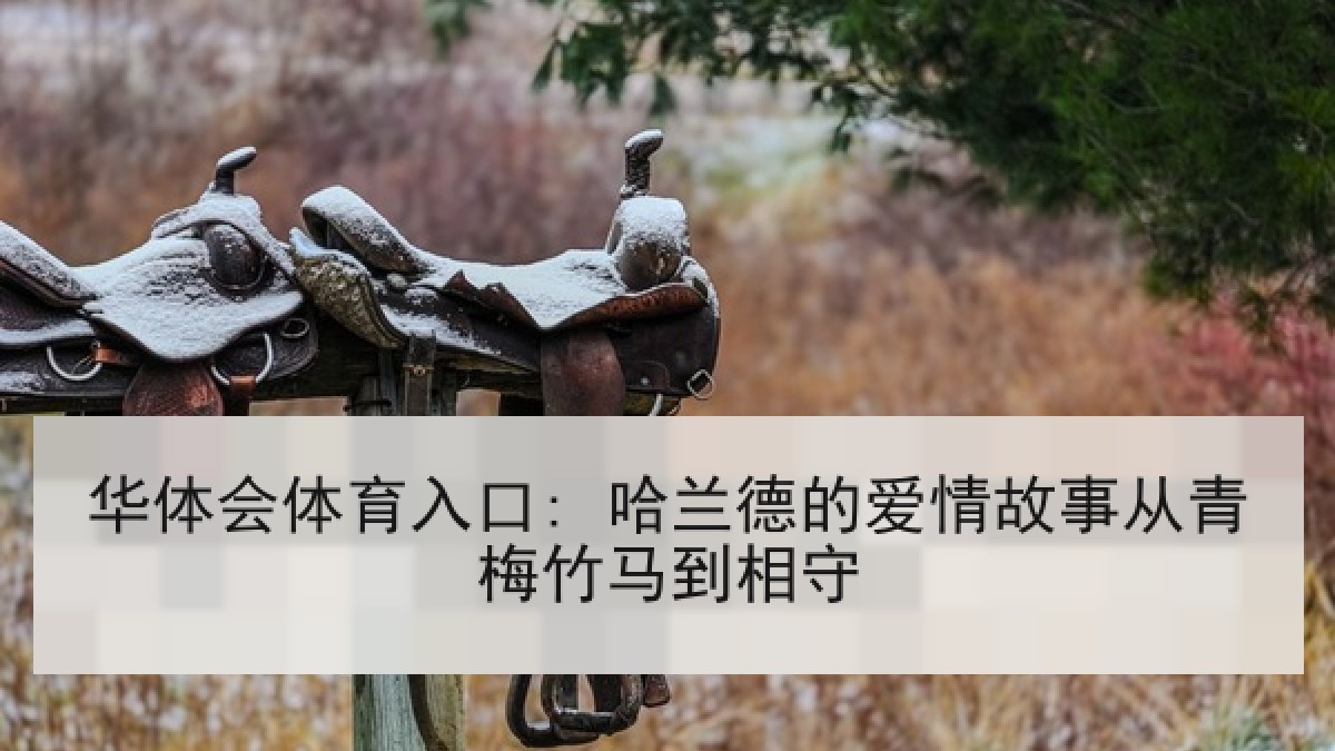 华体会体育入口: 哈兰德的爱情故事从青梅竹马到相守 华体会体育入口: 哈兰德的爱情故事从青梅竹马到相守